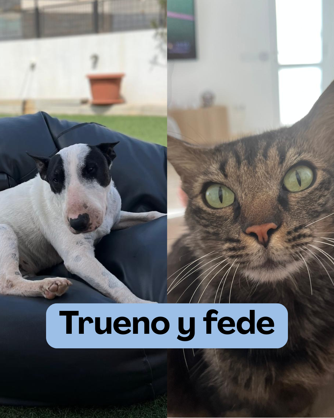 Vuestra familia